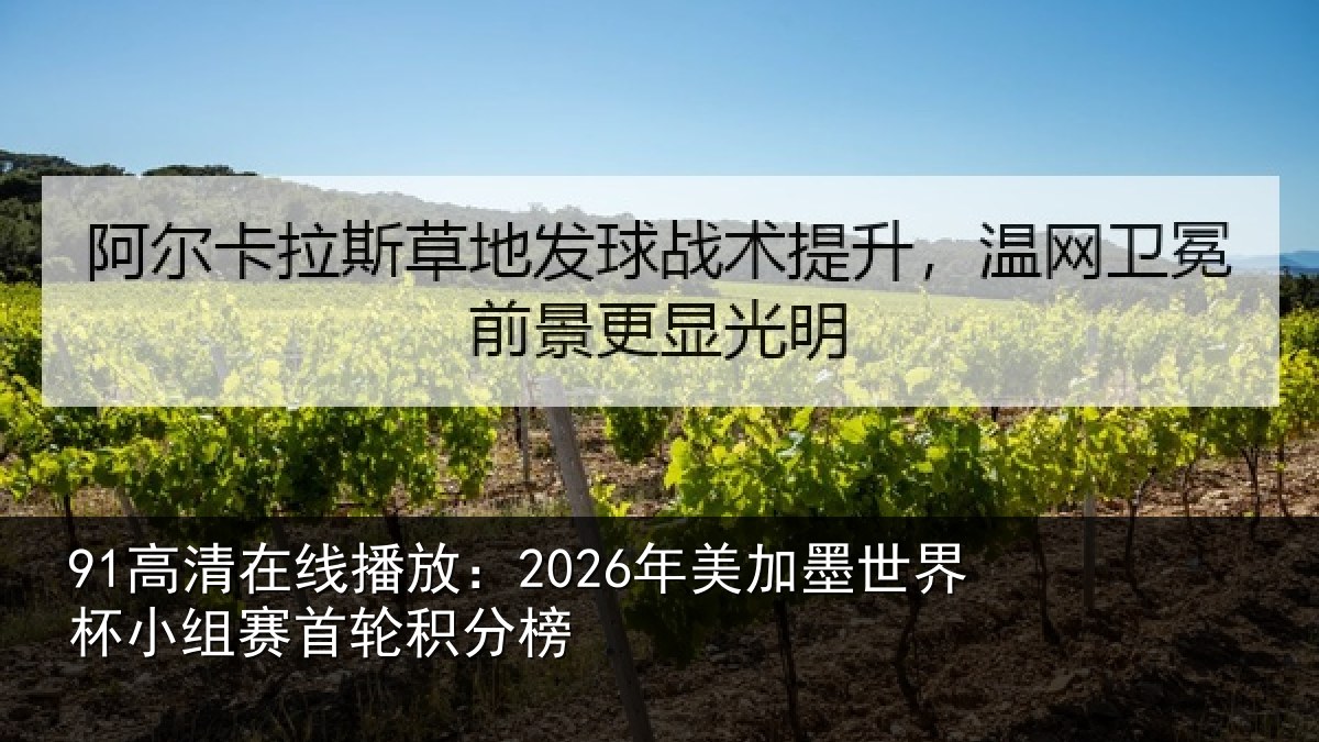 91高清在线播放：2026年美加墨世界杯小组赛首轮积分榜